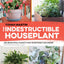 The Indestructible Houseplant: 200 Beautiful Plants that Everyone Can Grow