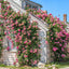 Nantucket: Classic American style 30 miles out to sea