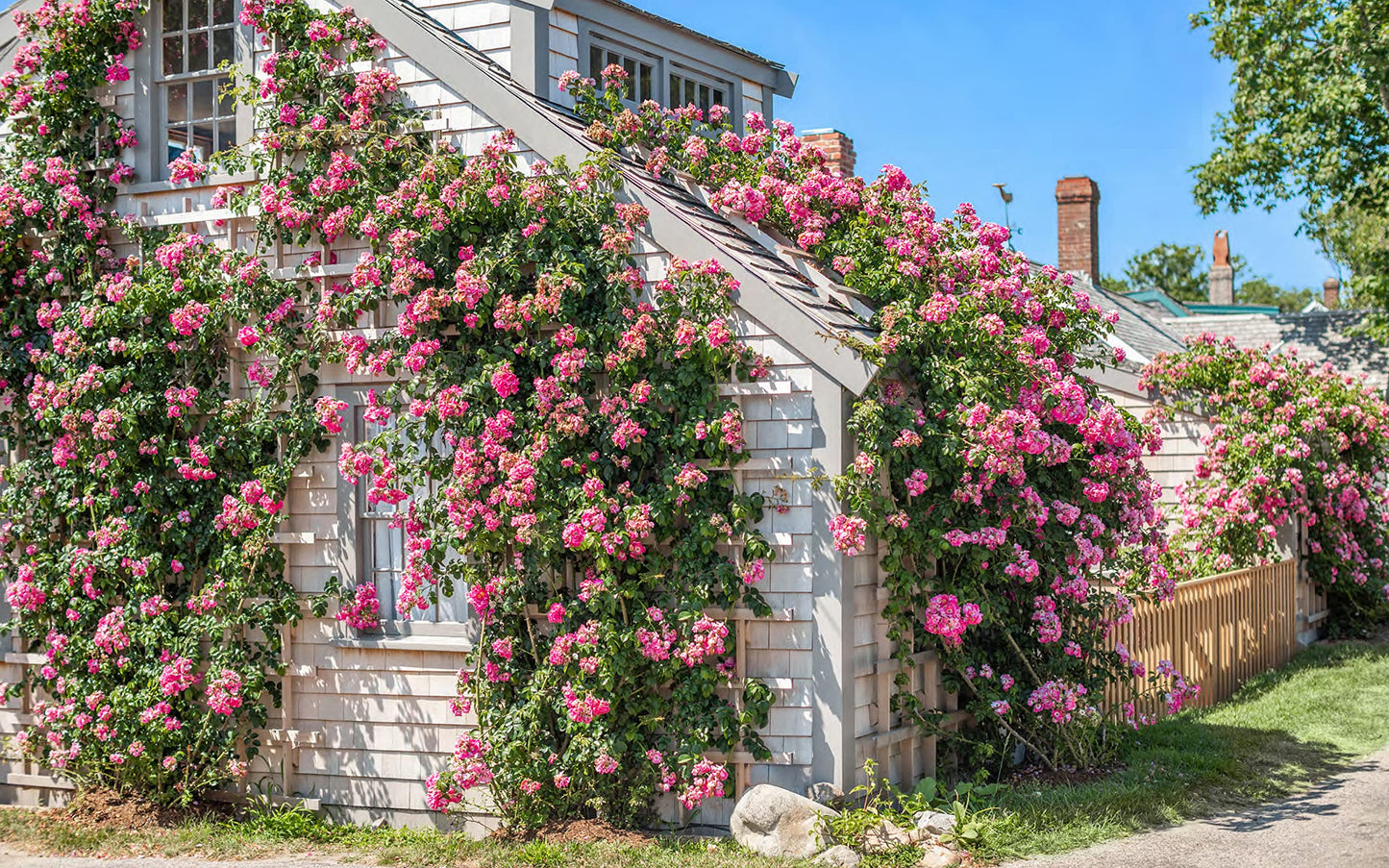 Nantucket: Classic American style 30 miles out to sea