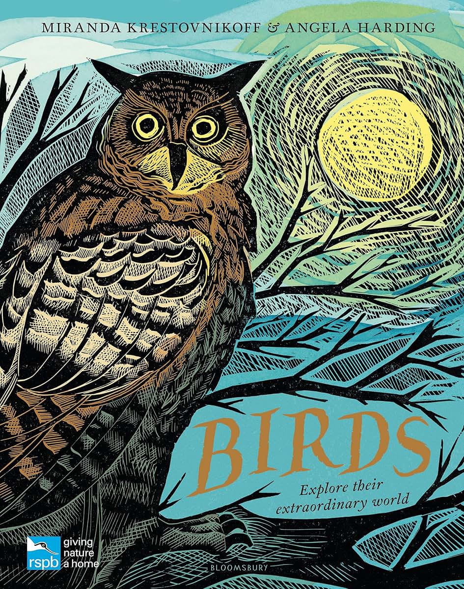 RSPB Birds: Explore their extraordinary world