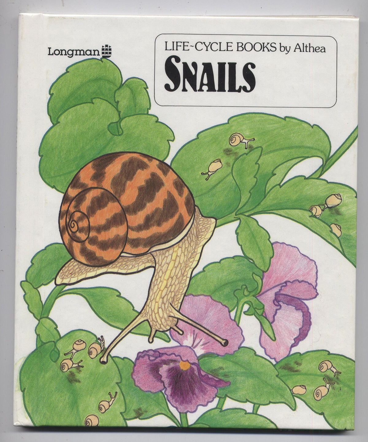 Snails (Life Cycle Books)