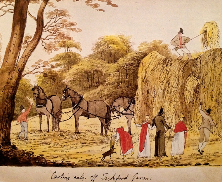 Mrs Hurst dancing, and other scenes from Regency life, 1812-1823 — back cover