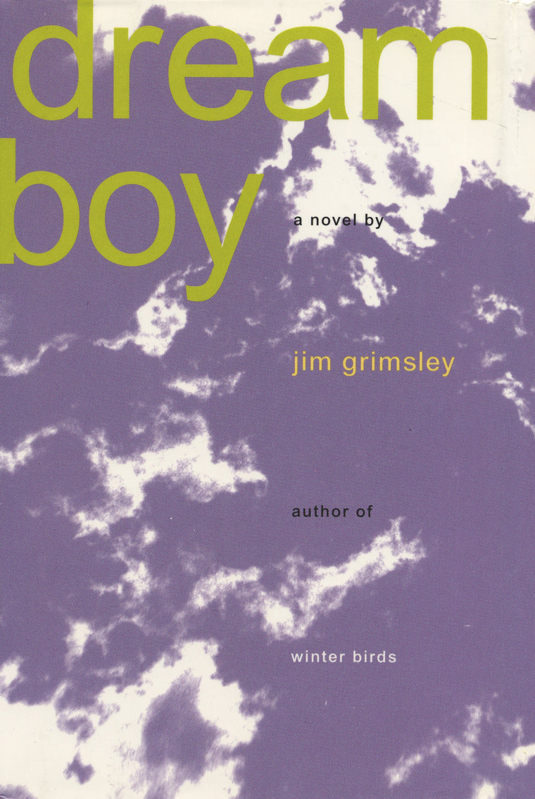 Dream Boy: A Novel