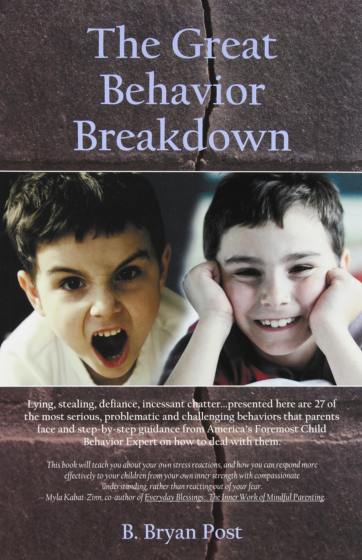 The Great Behavior Breakdown