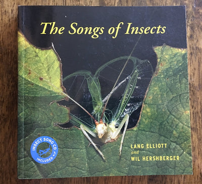 The Songs of Insects