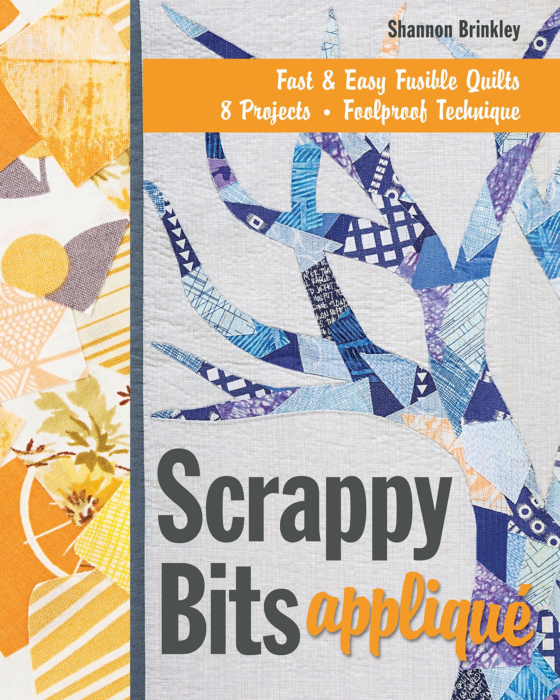 Scrappy Bits Appliqué: Fast & Easy Fusible Quilts  8 Projects  Foolproof Technique