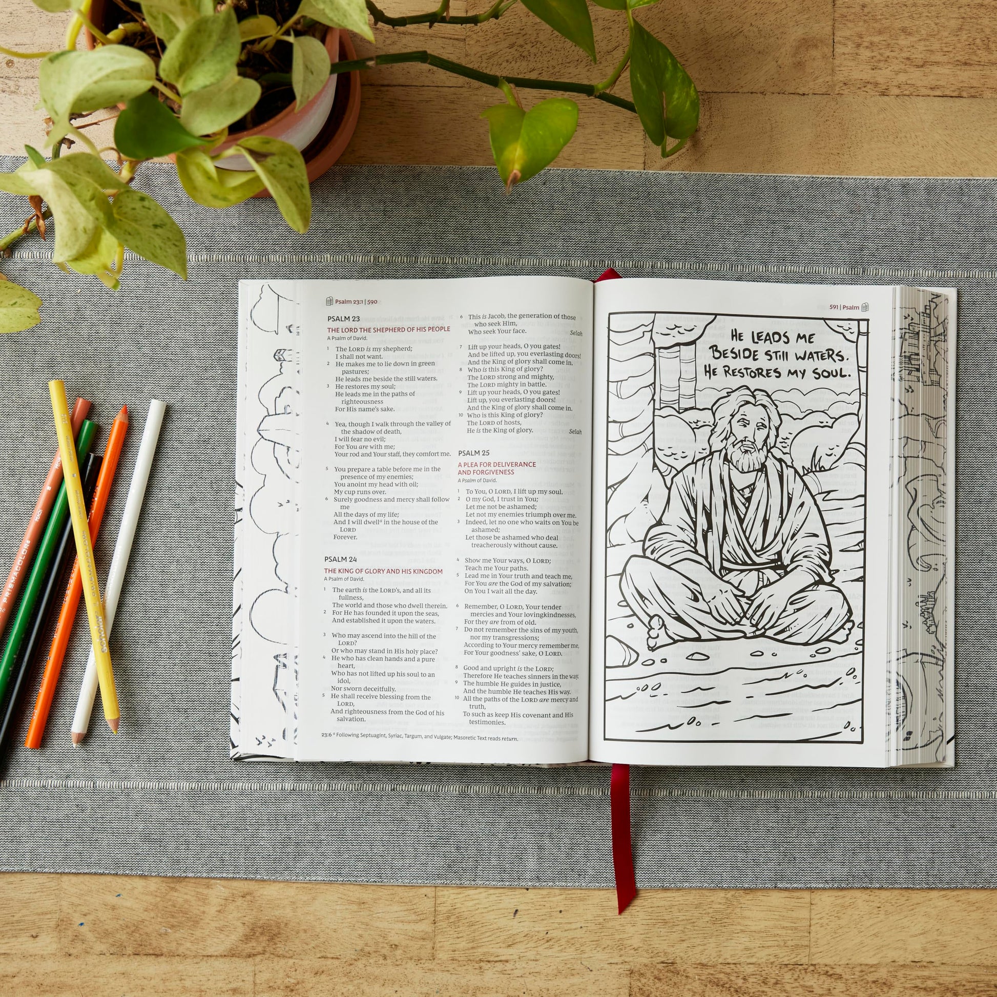 The Sketchbook Bible: The Complete Bible with Hundreds of Illustrations (NKJV, Hardcover, Red Letter, Comfort Print)