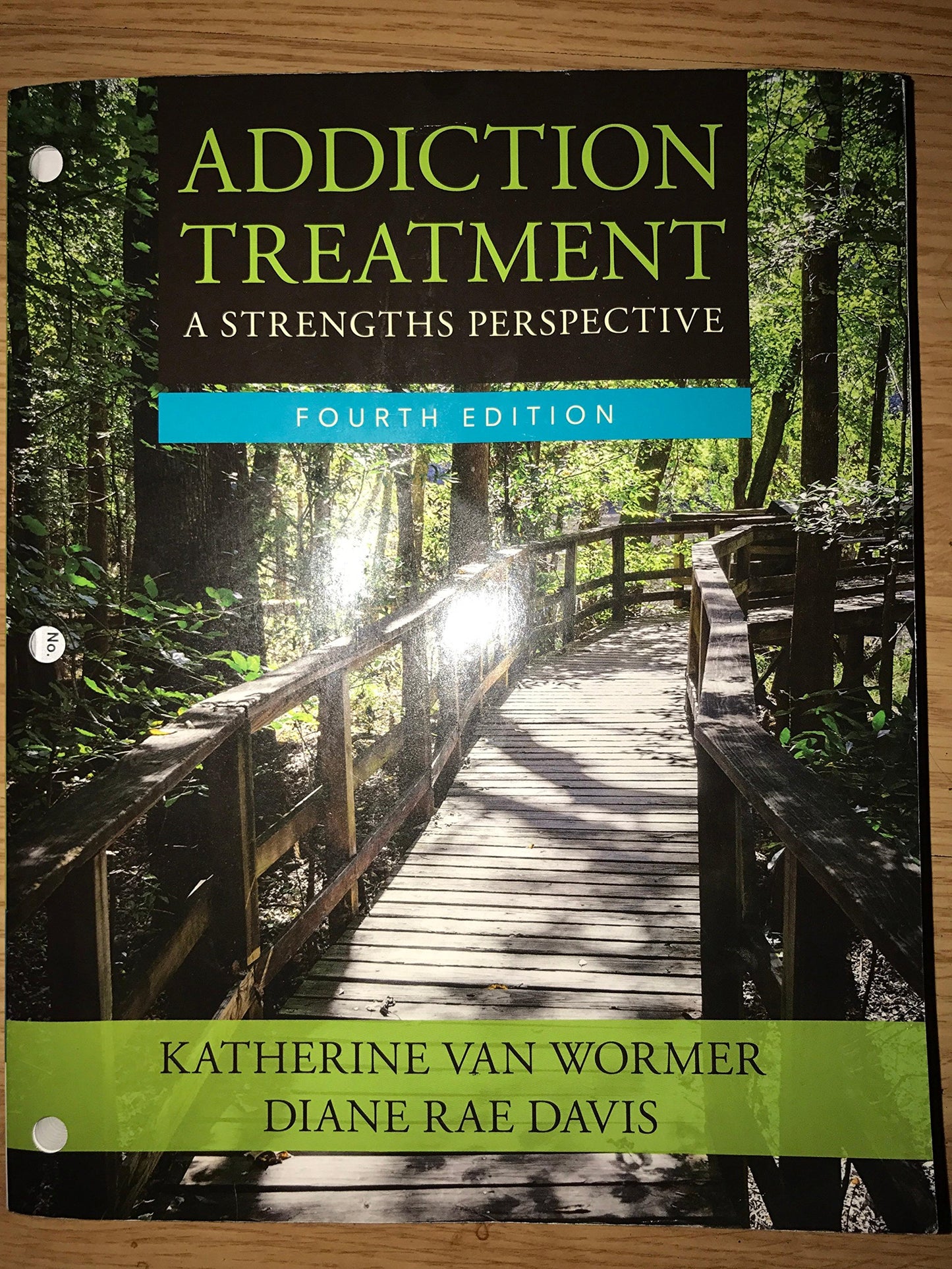 Addiction Treatment: A Strengths Perspective (MindTap Course List)