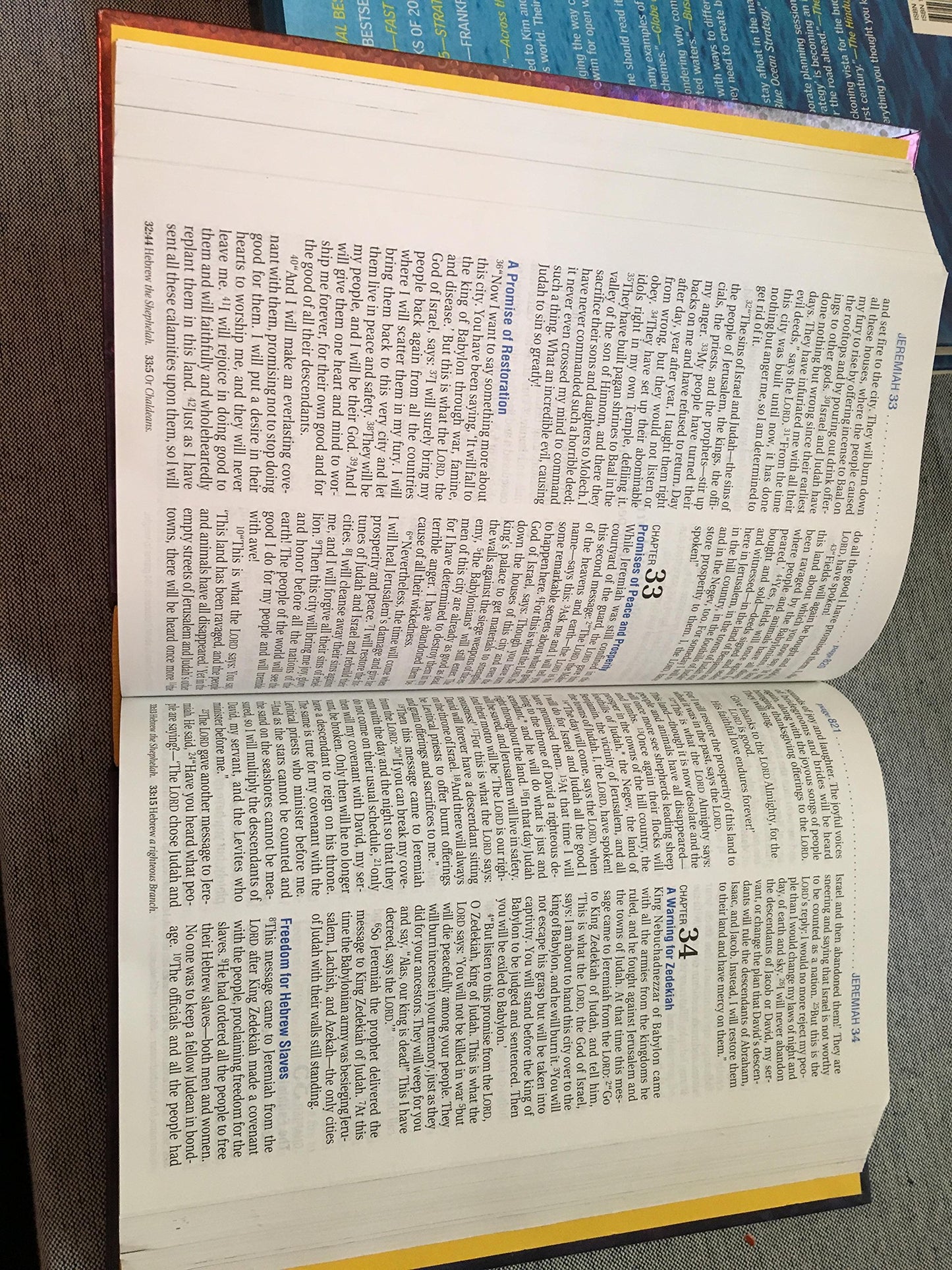 Kid's Life Application Bible NLT (hc)