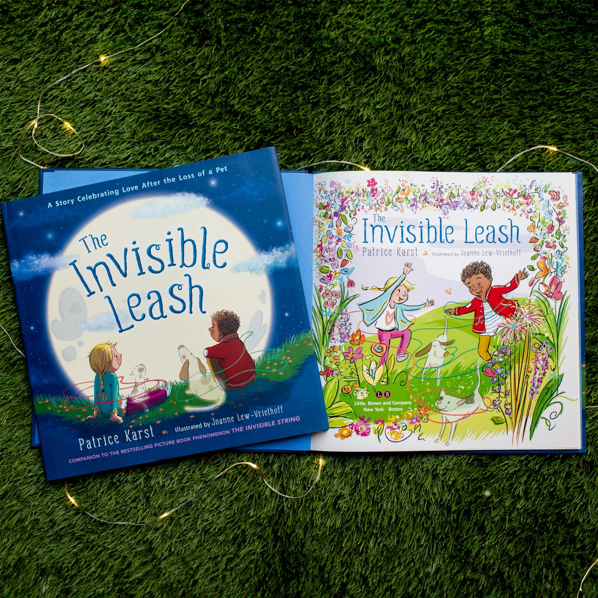 The Invisible Leash: An Invisible String Story About the Loss of a Pet (The Invisible String, 3)
