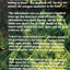 Why the Adirondacks Look the Way They Do: A Natural History
