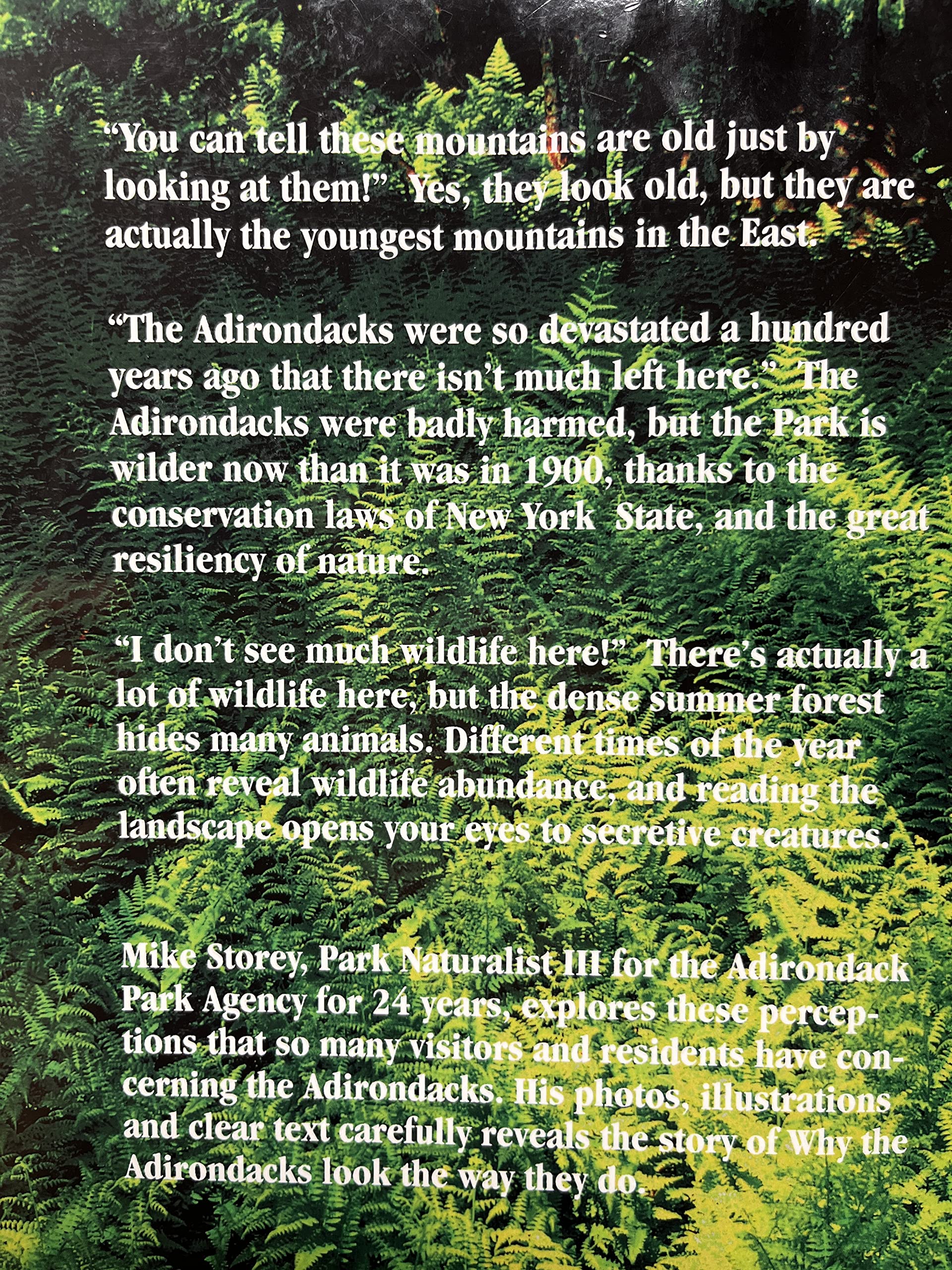 Why the Adirondacks Look the Way They Do: A Natural History