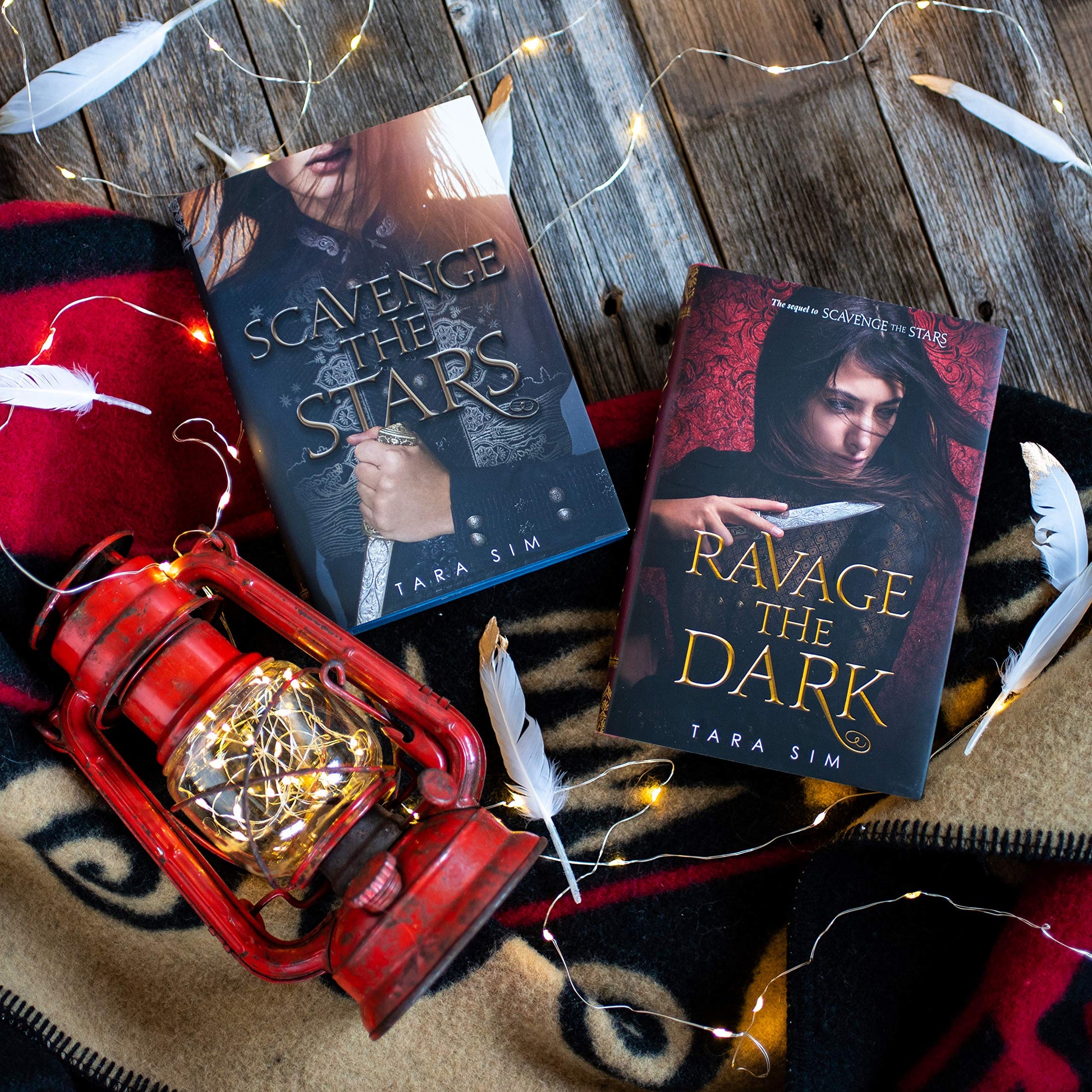 Ravage the Dark (Scavenge the Stars, 2)