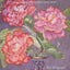 Colored Pencil for the Serious Beginner: Basic Lessons in Becoming a Good Artist