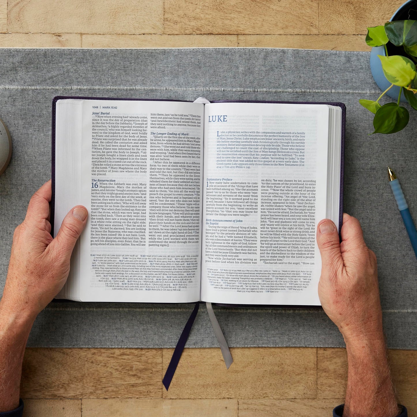 NET Bible, Large Print Thinline with Cross References, Brown Leathersoft, Comfort Print