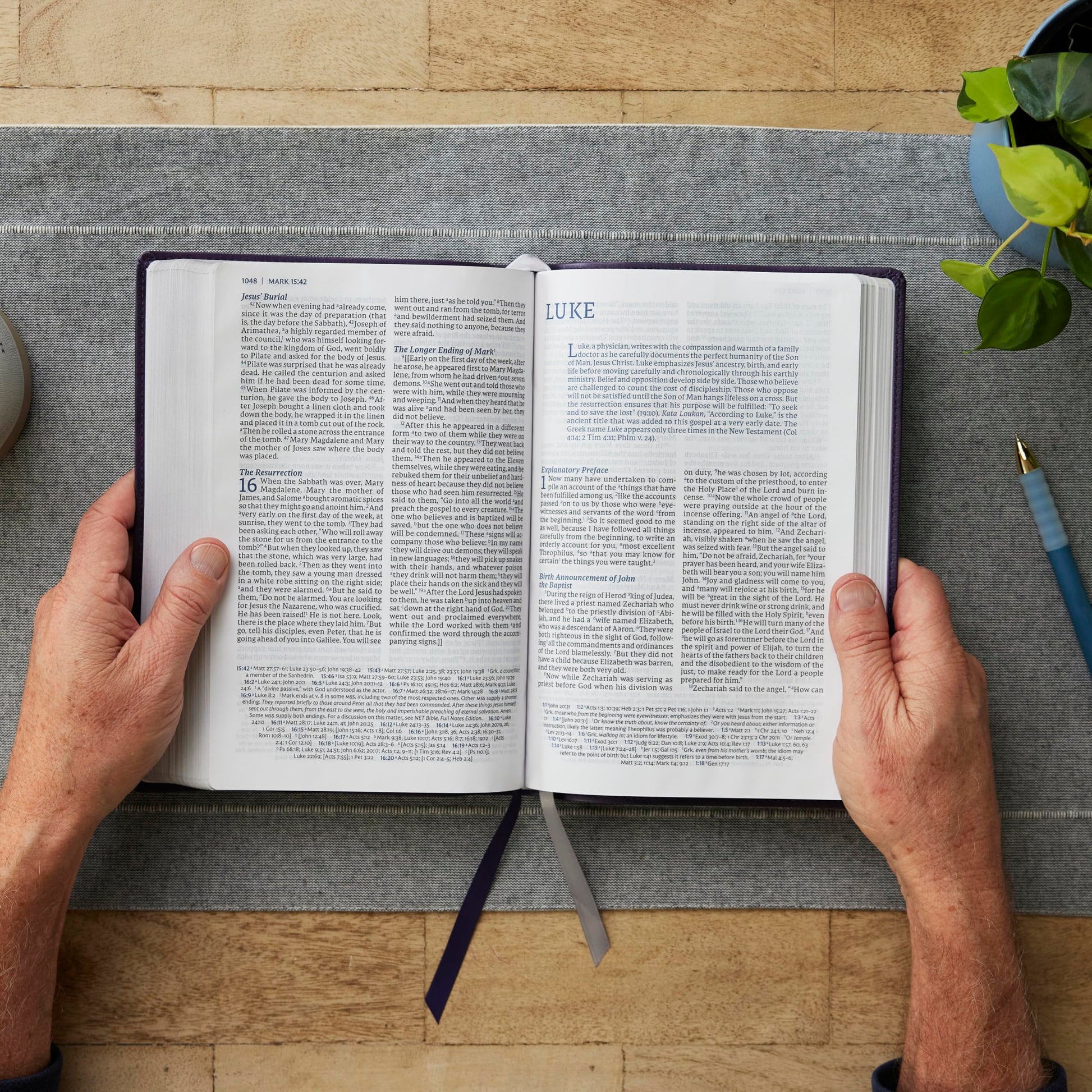 NET Bible, Large Print Thinline with Cross References, Brown Leathersoft, Comfort Print