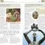 World History (Eyewitness Companions)