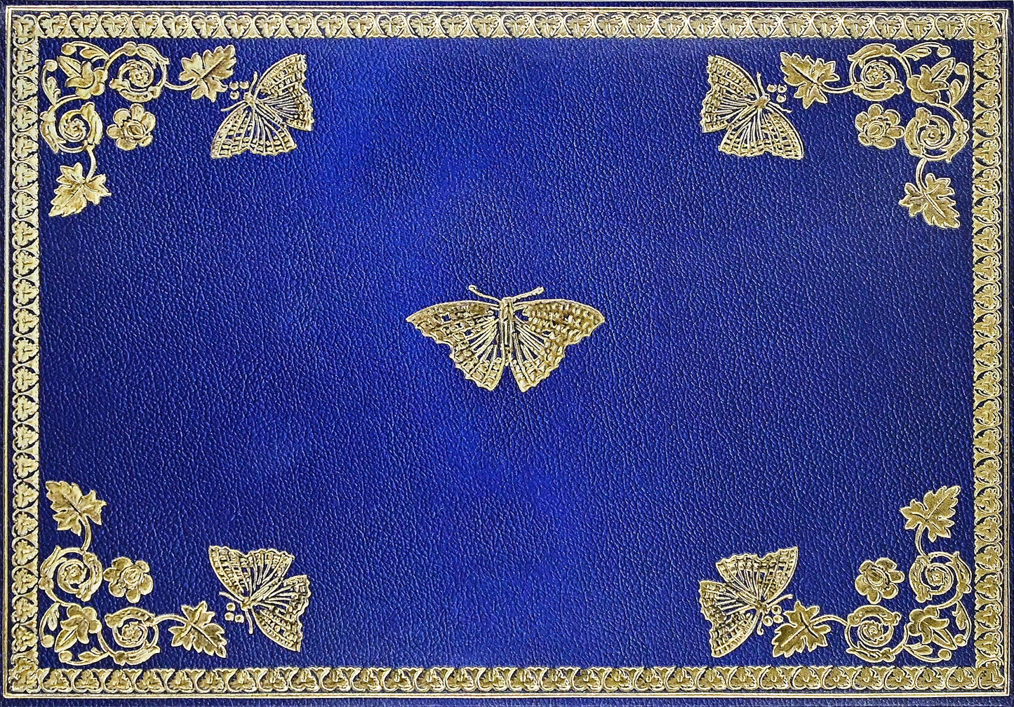 Gilded Butterflies Note Cards (14 cards, 15 self-sealing envelopes)