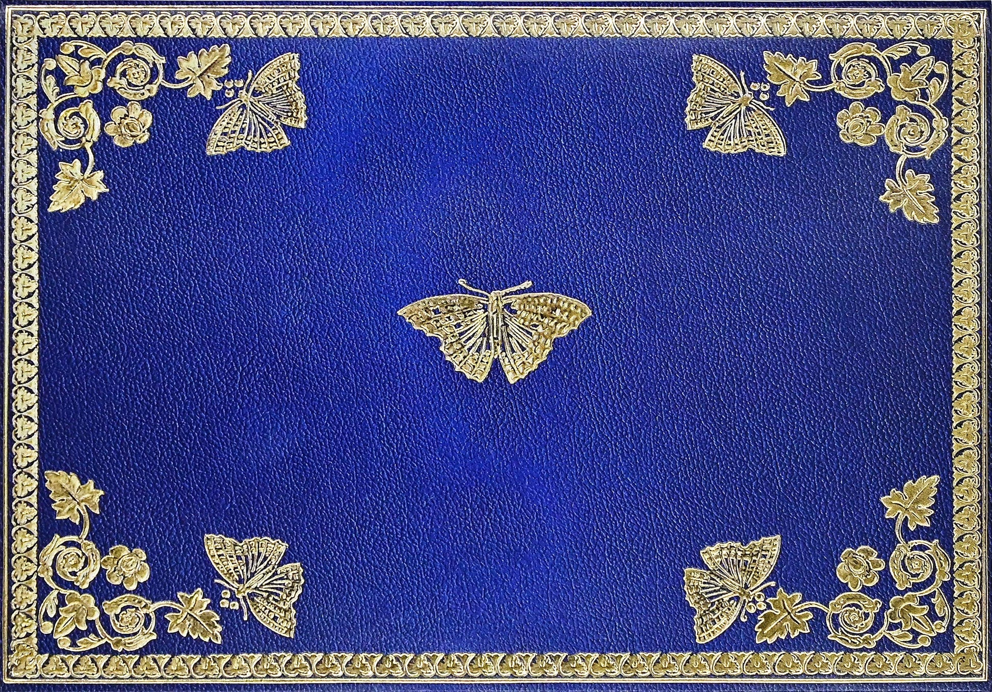 Gilded Butterflies Note Cards (14 cards, 15 self-sealing envelopes)