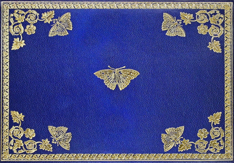 Gilded Butterflies Note Cards (14 cards, 15 self-sealing envelopes)