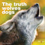 The Truth About Wolves and Dogs: Dispelling the Myths of Dog