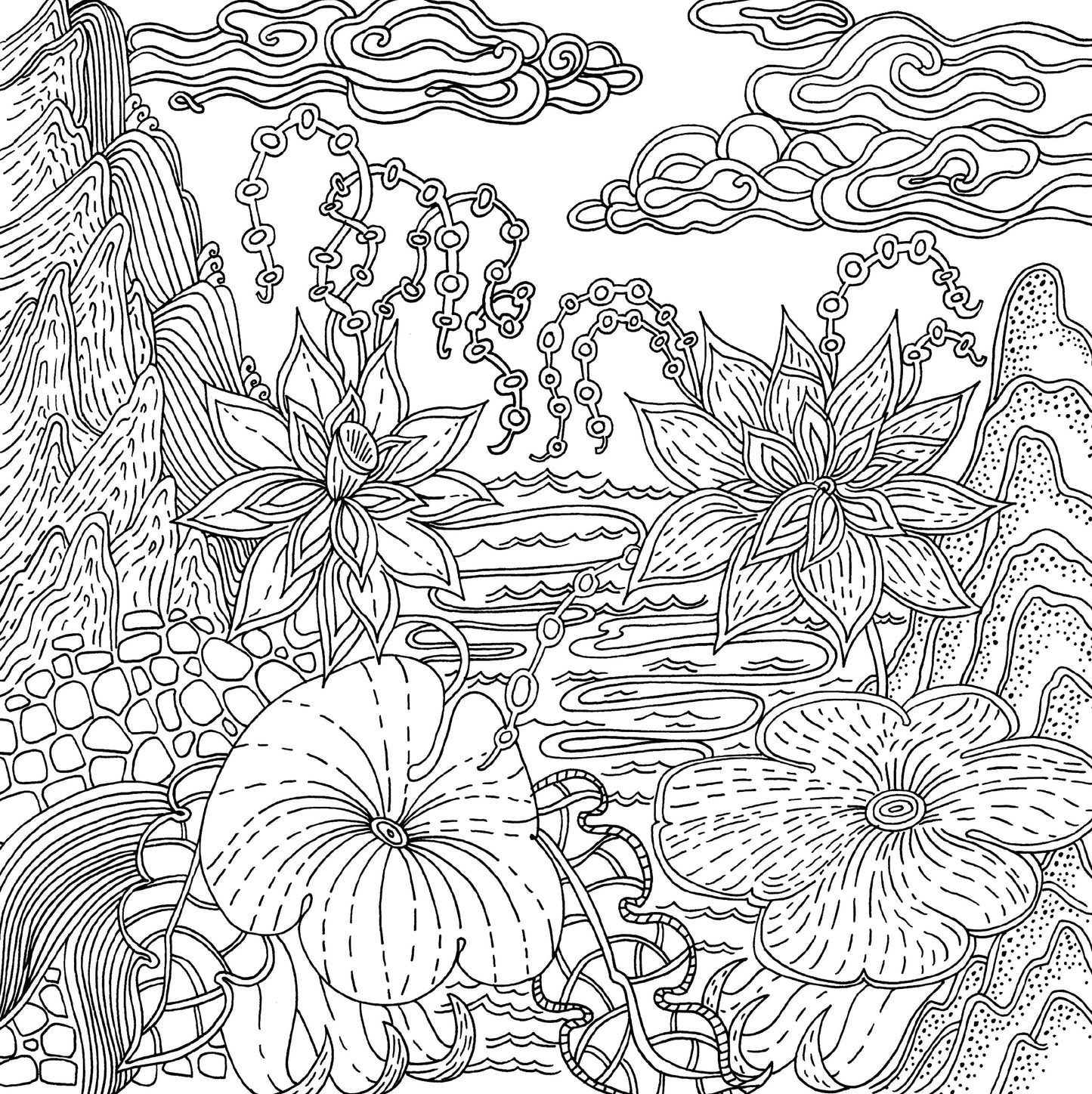 Serenity Adult Coloring Book (31 stress-relieving designs) (Studio Series Artist's Coloring Book)
