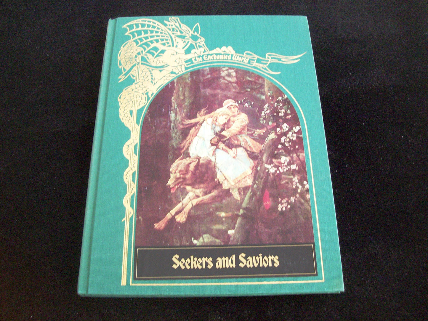 Seekers and Saviors (The Enchanted World Series)