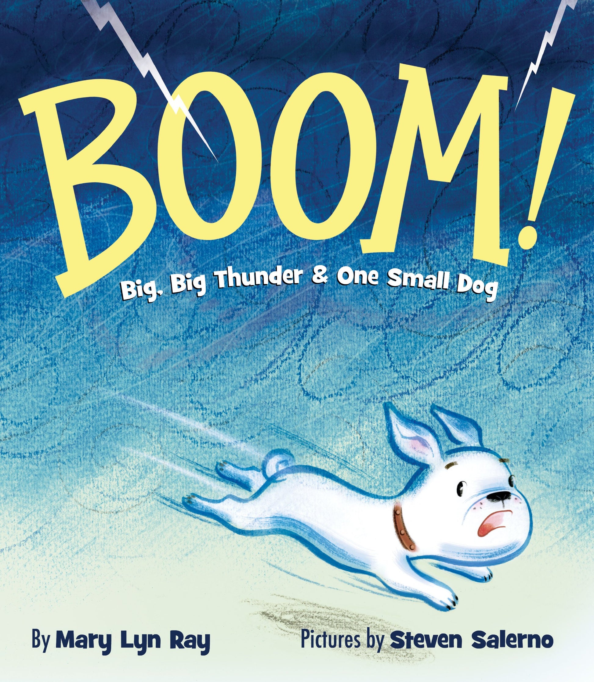 BOOM!: Big, Big Thunder & One Small Dog