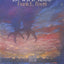 2 Books: Piercing the Darkness/This Present Darkness by Peretti