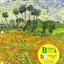 Raven Biology of Plants