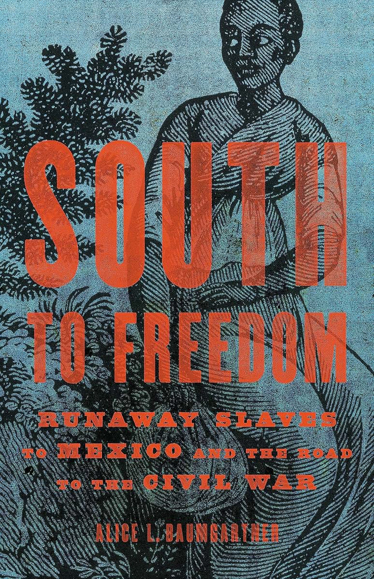 South to Freedom: Runaway Slaves to Mexico and the Road to the Civil War