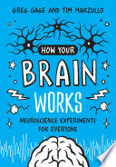 How Your Brain Works: Neuroscience Experiments for Everyone