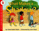 What Makes a Shadow?