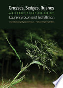 Grasses, Sedges, Rushes: An Identification Guide