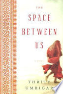 The Space Between Us: A Novel