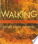 Walking